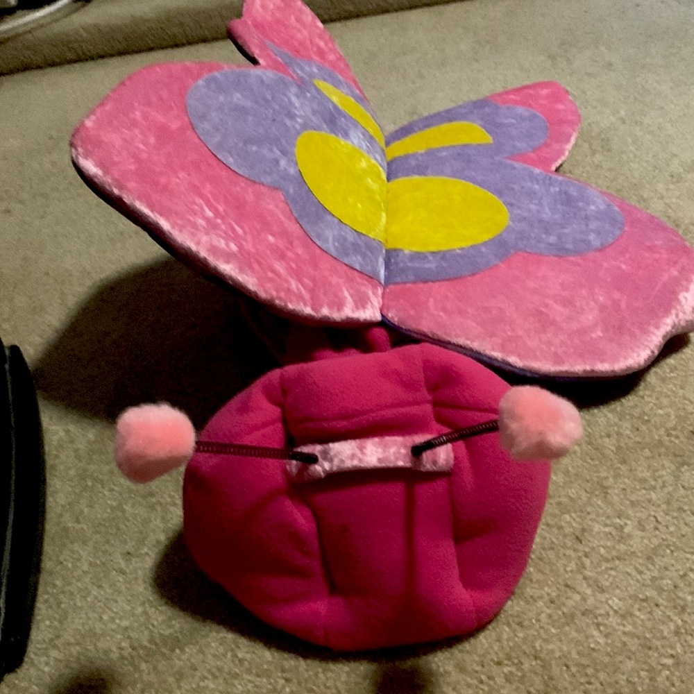 Sweet butterfly just purge the for your pooch for Halloween